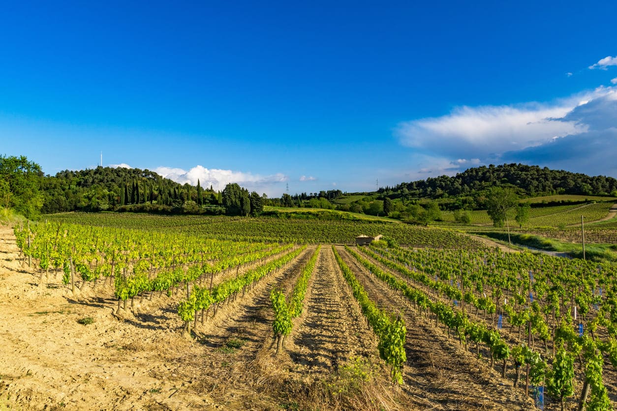 土地を売るコツが知りたい できるだけ高く 早く売却する方法 安心の不動産売却 査定なら すまいステップ