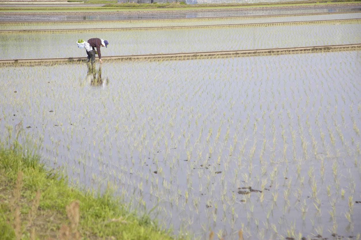 土地改良区内の農地を相続する前に知っておくべき手順と売却方法│安心 